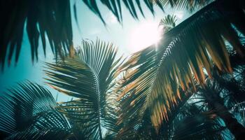 exótico Palma árvore ramo dentro tropical pôr do sol, uma natureza beleza gerado de ai foto