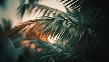 silhueta do Palma árvore contra vibrante pôr do sol dentro tropical paraíso gerado de ai foto