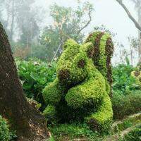 verde Coelho jardim forma dentro Primavera. Novo ano foto