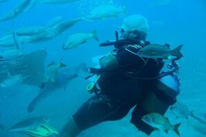 mergulhador natação entre lindo ampla peixe dentro a azul caloroso oceano foto