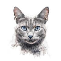 gato retrato isolado. ilustração ai generativo foto