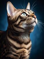 retrato do Bengala gato em Sombrio fundo, fechar acima. generativo ai foto