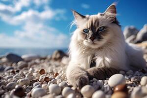 lindo boneca de pano gato relaxante em a de praia desfrutando a mar visualizar. generativo ai foto