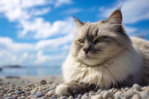 lindo boneca de pano gato relaxante em a de praia desfrutando a mar visualizar. generativo ai foto