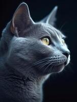 retrato do uma lindo cinzento gato em uma Sombrio fundo. generativo ai foto