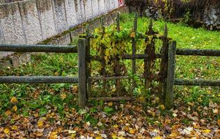 pequeno portão coberto de folhas