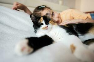 fofa pequeno menina deitado em a cama com dela gato às casa foto