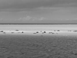 ilha de borkum na alemanha foto