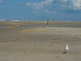 na praia de spiekeroog foto