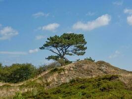 a ilha de spiekeroog foto