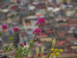 a cidade do Nápoles dentro Itália foto