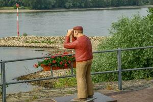 resposta cidade às a Rhine rio foto