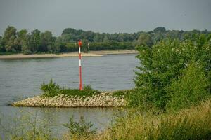 resposta cidade às a Rhine rio foto