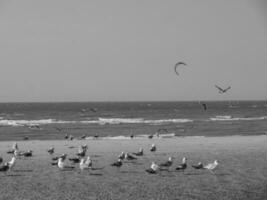 a de praia do de haan às a norte mar foto