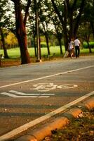 bicicleta faixa placa em a estrada dentro a parque foto