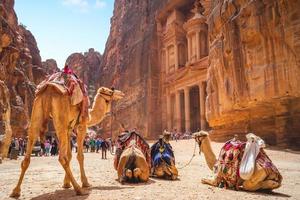 al khazneh também conhecido como o tesouro com camelos em petra, na Jordânia foto