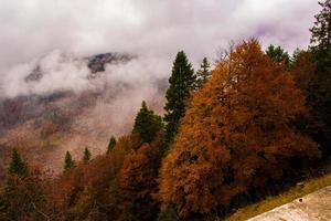 paisagem nublada de outono