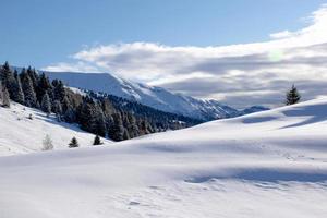 paisagem de neve com pinheiros foto