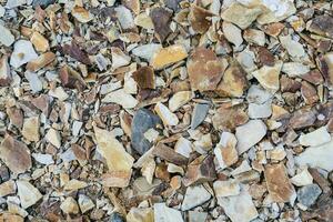 a rochoso textura do a velho mar pedra. foto