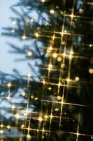 luzes dentro a forma do estrelas em uma Natal árvore. foto