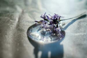 uma solta do Cosmético gel com lavanda flor em uma bege fundo. foto
