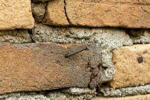 velho parede de tijolos fundo. uma unha martelado em vermelho parede de tijolos. foto