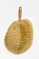 durian um mês, fresco durian fruta com isolado fundo foto