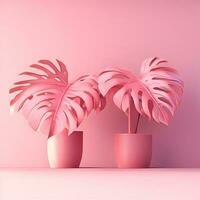 3d render do Rosa em vaso monstera plantas em pé contra Rosa fundo foto