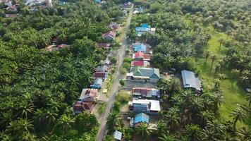 Visão do habitação e árvores fotos ocupado a partir de acima usando uma zangão