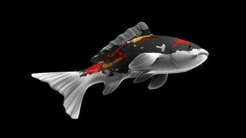 solteiro preto, vermelho e branco cor koi peixe 3d Renderização japonês carpa foto