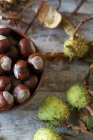 castanhas e buckeyes em clima de outono foto