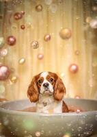 fofa descuidado rei Charles spaniel cachorro dentro uma pequeno banheira com Sabonete espuma e bolhas, fofa pastel cores, generativo ai. foto