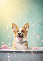 fofa Pembroke galês corgi cachorro dentro uma pequeno banheira com Sabonete espuma e bolhas, fofa pastel cores, generativo ai. foto