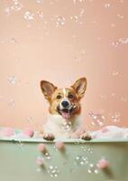 fofa Pembroke galês corgi cachorro dentro uma pequeno banheira com Sabonete espuma e bolhas, fofa pastel cores, generativo ai. foto