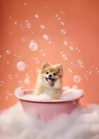 fofa pomerânia cachorro dentro uma pequeno banheira com Sabonete espuma e bolhas, fofa pastel cores, generativo ai. foto