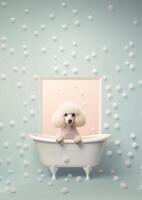 fofa poodle cachorro dentro uma pequeno banheira com Sabonete espuma e bolhas, fofa pastel cores, generativo ai. foto