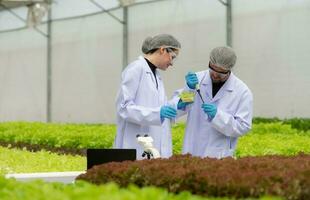 cientistas estão conduzindo pesquisa e desenvolvimento em a cultivo do orgânico legumes dentro uma fechadas Fazenda. foto