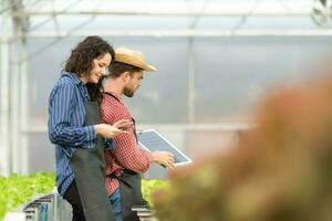 pequeno pessoas de negócio com a missão do instalando uma pequeno solar célula painel para a elétrico sistema do a orgânico vegetal jardim. foto