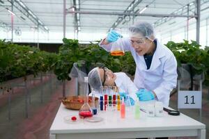 dentro a fechadas morango jardim, uma jovem cientista condutas uma morango nutriente Produção experimentar com dela Ciência aula. foto