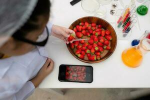 pequeno menina cientista com Ciência classe morango nutriente Produção experimentar, dentro a fechadas morango jardim. foto