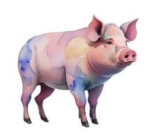 aguarela animal porco, criada com generativo ai foto