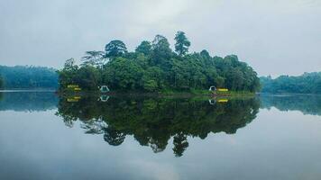 pequeno ilha dentro a meio do lago local gede, tasikmalaya, oeste Java, Indonésia foto