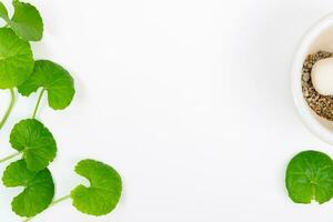 topo Visão em mesa centella asiática folhas com isolado em branco fundo foto