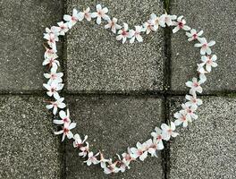 lindo branco flores Tung flor arranjado dentro a forma do uma coração em a estrada foto