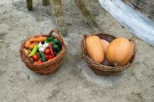 cestas com legumes. sortido legumes. rural colheita. foto