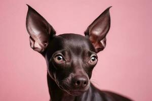 lindo cachorro retrato em Rosa fundo. fechar acima visualizar. generativo ai. foto