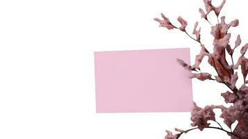 topo Visão do Rosa em branco papel cartão brincar e seco floral ramo. foto