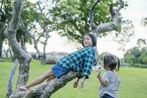 sudeste ásia pequeno menina escalada uma árvore para explorar natureza feliz crianças jogando dentro a parque brincalhão crianças tendo Diversão dentro a floresta dentro verão. foto