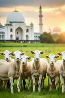 uma pacote do ovelhas dentro a meio do mesquita Campo de grama foto