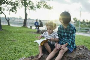 jovem ásia menina lendo uma livro sentado em uma Rocha às a Relva dentro a quintal. foto
